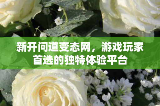新开问道变态网，游戏玩家首选的独特体验平台