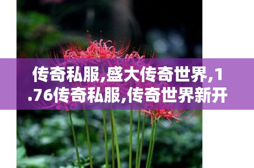 传奇私服,盛大传奇世界,1.76传奇私服,传奇世界新开私服,1.76传奇私服
