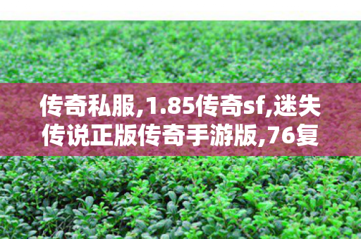 传奇私服,1.85传奇sf,迷失传说正版传奇手游版,76复古传奇sf,迷失传说正版传奇手游版