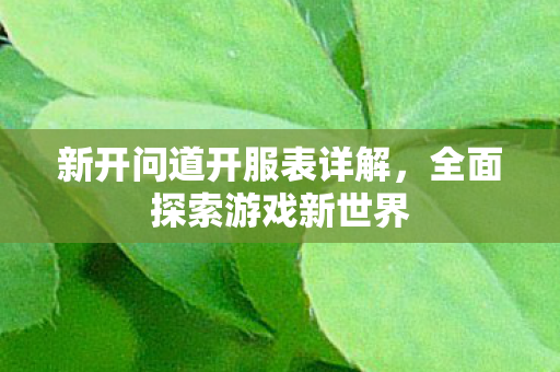 新开问道开服表详解，全面探索游戏新世界