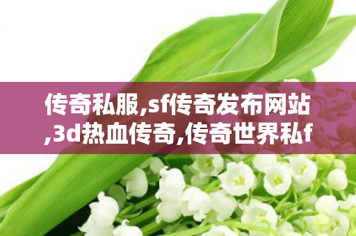 传奇私服,sf传奇发布网站,3d热血传奇,传奇世界私f,3d热血传奇