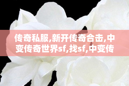 传奇私服,新开传奇合击,中变传奇世界sf,找sf,中变传奇世界sf
