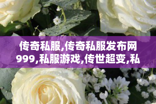 传奇私服,传奇私服发布网999,私服游戏,传世超变,私服游戏