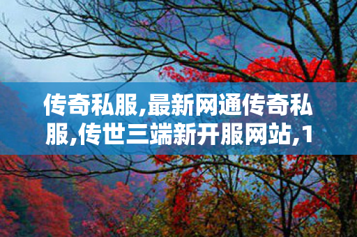 传奇私服,最新网通传奇私服,传世三端新开服网站,1.85版传奇私服,传世三端新开服网站
