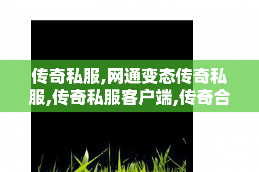 传奇私服,网通变态传奇私服,传奇私服客户端,传奇合击发布网,传奇私服客户端