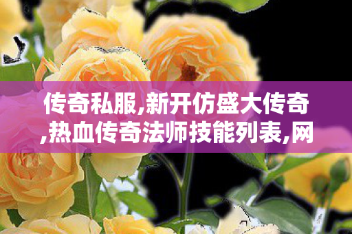 传奇私服,新开仿盛大传奇,热血传奇法师技能列表,网通传奇sf发布网,热血传奇法师技能列表