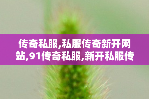 传奇私服,私服传奇新开网站,91传奇私服,新开私服传奇,91传奇私服