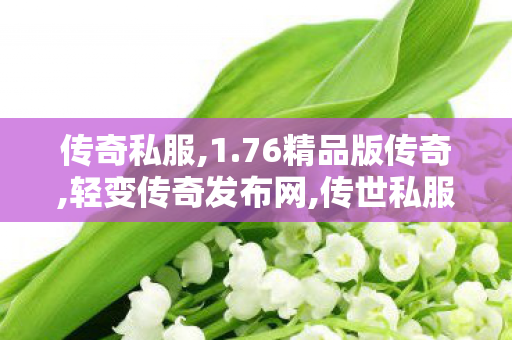传奇私服,1.76精品版传奇,轻变传奇发布网,传世私服,轻变传奇发布网