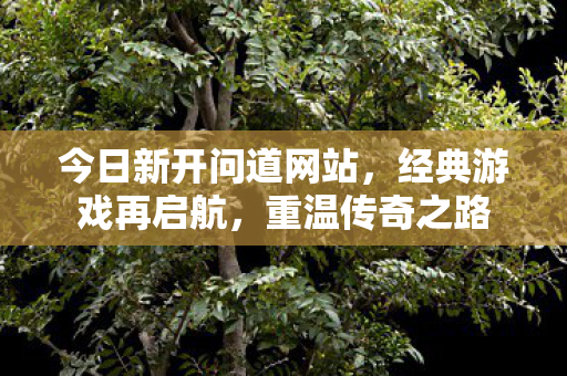 今日新开问道网站，经典游戏再启航，重温传奇之路