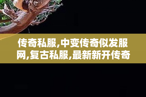 传奇私服,中变传奇似发服网,复古私服,最新新开传奇世界sf,复古私服