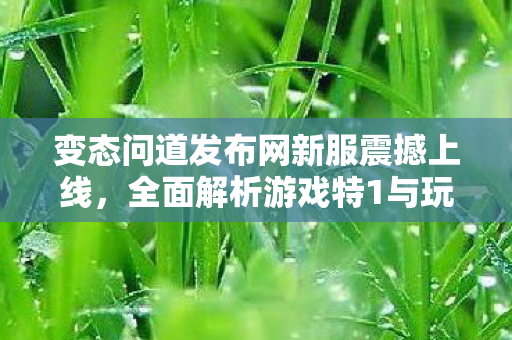 变态问道发布网新服震撼上线，全面解析游戏特1与玩法