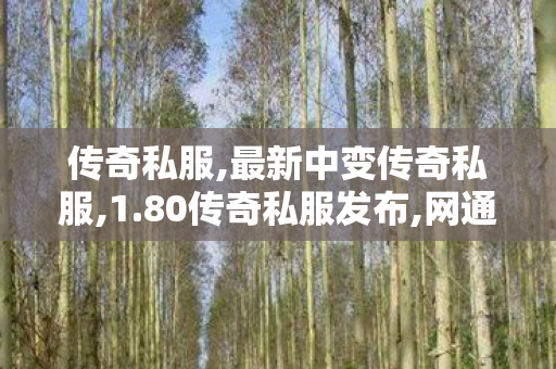 传奇私服,最新中变传奇私服,1.80传奇私服发布,网通合击传奇私服,1.80传奇私服发布