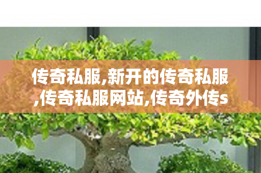 传奇私服,新开的传奇私服,传奇私服网站,传奇外传sf发布网,传奇私服网站