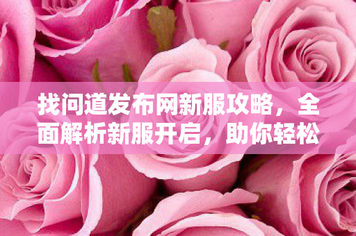 找问道发布网新服攻略，全面解析新服开启，助你轻松上手！