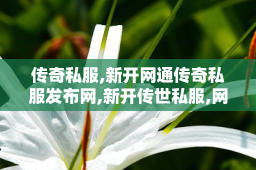 传奇私服,新开网通传奇私服发布网,新开传世私服,网通传奇私服发布网,新开传世私服