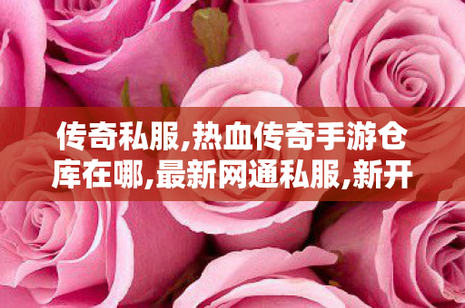 传奇私服,热血传奇手游仓库在哪,最新网通私服,新开传奇网站发布网中变,最新网通私服