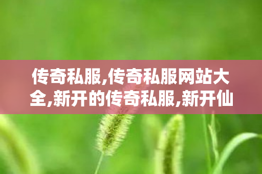 传奇私服,传奇私服网站大全,新开的传奇私服,新开仙剑版传奇私服,新开的传奇私服