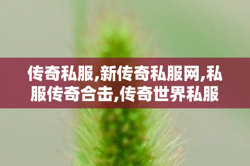 传奇私服,新传奇私服网,私服传奇合击,传奇世界私服微变,私服传奇合击