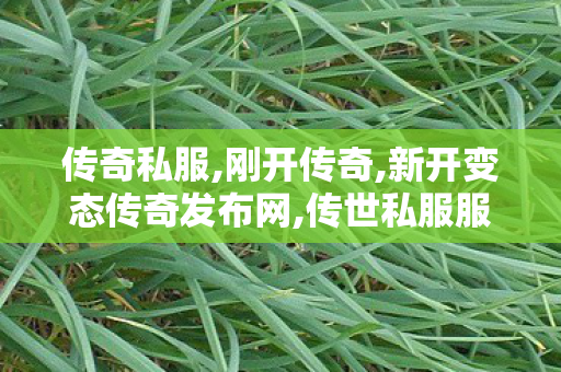传奇私服,刚开传奇,新开变态传奇发布网,传世私服服务端,新开变态传奇发布网