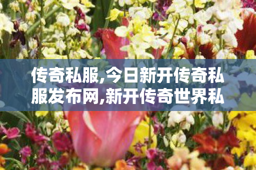 传奇私服,今日新开传奇私服发布网,新开传奇世界私服,传世私服,新开传奇世界私服