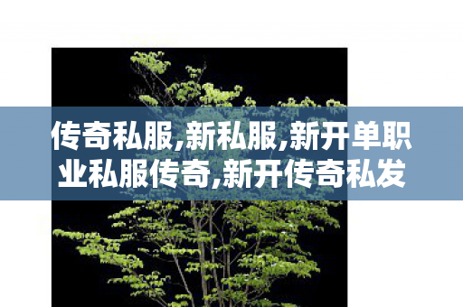 传奇私服,新私服,新开单职业私服传奇,新开传奇私发服网,新开单职业私服传奇