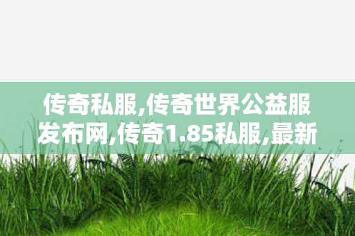 传奇私服,传奇世界公益服发布网,传奇1.85私服,最新网通私服,传奇1.85私服