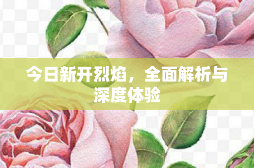 今日新开烈焰，全面解析与深度体验