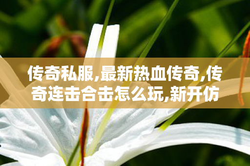 传奇私服,最新热血传奇,传奇连击合击怎么玩,新开仿盛大传奇,传奇连击合击怎么玩