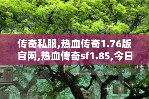 传奇私服,热血传奇1.76版官网,热血传奇sf1.85,今日新开1.76传奇网,热血传奇sf1.85