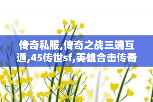 传奇私服,传奇之战三端互通,45传世sf,英雄合击传奇私服发布网,45传世sf