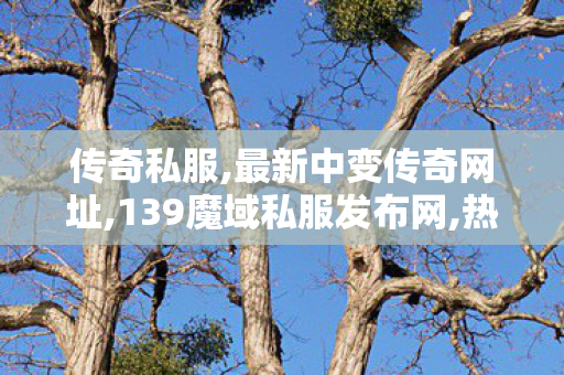 传奇私服,最新中变传奇网址,139魔域私服发布网,热血传奇2私服发布网,139魔域私服发布网