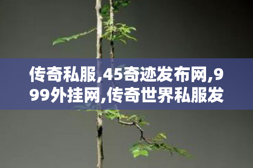 传奇私服,45奇迹发布网,999外挂网,传奇世界私服发布网,999外挂网