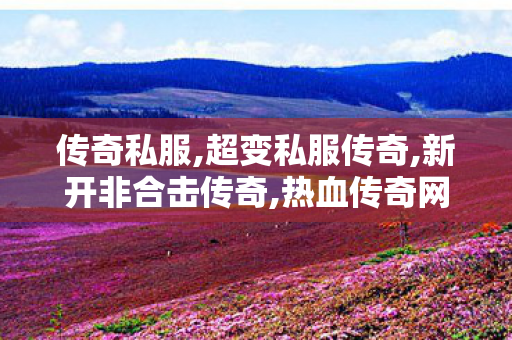 传奇私服,超变私服传奇,新开非合击传奇,热血传奇网,新开非合击传奇