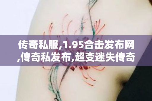 传奇私服,1.95合击发布网,传奇私发布,超变迷失传奇单职业,传奇私发布