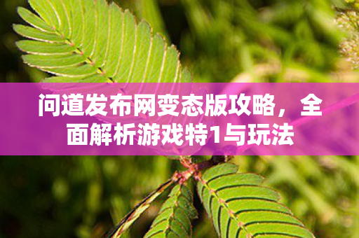 问道发布网变态版攻略，全面解析游戏特1与玩法