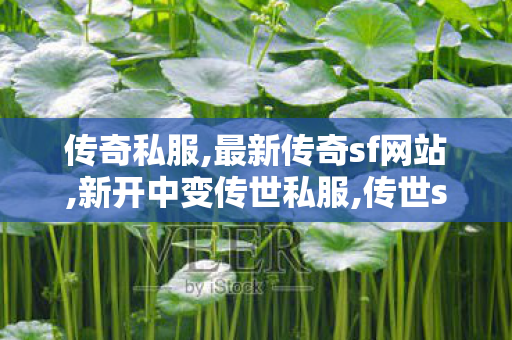传奇私服,最新传奇sf网站,新开中变传世私服,传世sf,新开中变传世私服