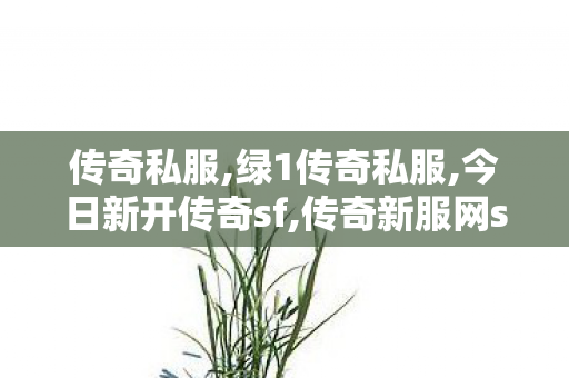 传奇私服,绿1传奇私服,今日新开传奇sf,传奇新服网sf,今日新开传奇sf