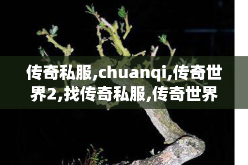 传奇私服,chuanqi,传奇世界2,找传奇私服,传奇世界2