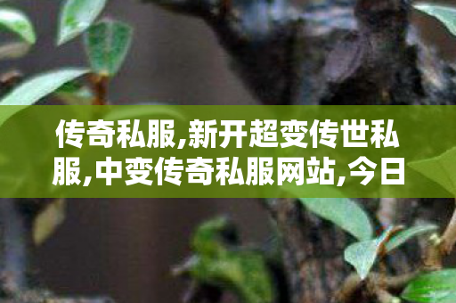 传奇私服,新开超变传世私服,中变传奇私服网站,今日新开传世sf网,中变传奇私服网站