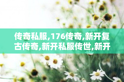 传奇私服,176传奇,新开复古传奇,新开私服传世,新开复古传奇