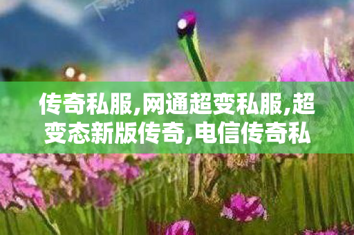 传奇私服,网通超变私服,超变态新版传奇,电信传奇私服发布网站,超变态新版传奇