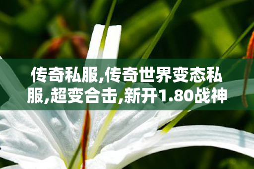 传奇私服,传奇世界变态私服,超变合击,新开1.80战神,超变合击