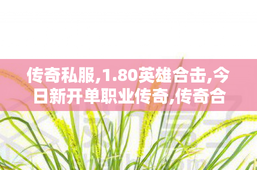 传奇私服,1.80英雄合击,今日新开单职业传奇,传奇合击1.76,今日新开单职业传奇