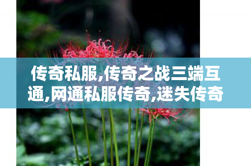 传奇私服,传奇之战三端互通,网通私服传奇,迷失传奇公益,网通私服传奇