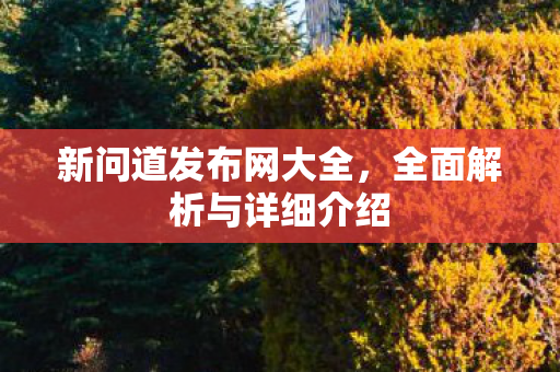 新问道发布网大全，全面解析与详细介绍