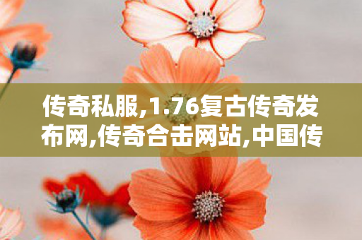 传奇私服,1.76复古传奇发布网,传奇合击网站,中国传奇私服,传奇合击网站