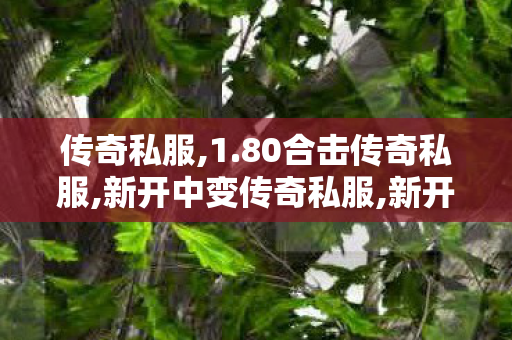 传奇私服,1.80合击传奇私服,新开中变传奇私服,新开传奇世界网站发布网,新开中变传奇私服