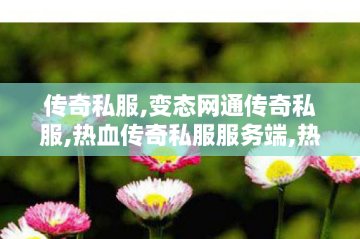 传奇私服,变态网通传奇私服,热血传奇私服服务端,热血传奇单职业,热血传奇私服服务端