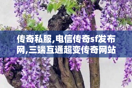 传奇私服,电信传奇sf发布网,三端互通超变传奇网站,传世私服新服网发布网,三端互通超变传奇网站