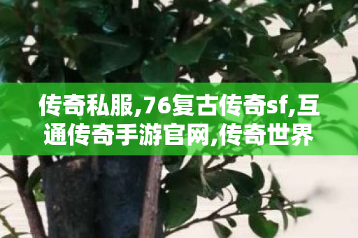 传奇私服,76复古传奇sf,互通传奇手游官网,传奇世界私服,传奇世界sf发布网,互通传奇手游官网